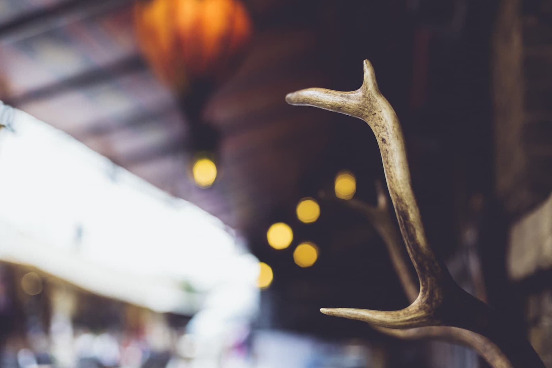 Casa Picasso luxury vacation villa Cabo San Lucas