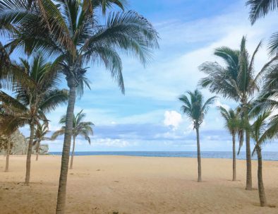 Casa Picasso community amenities Cabo San Lucas