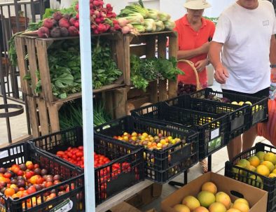 Casa Picasso community amenities Cabo San Lucas