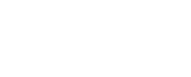 Picasso WTE trans.fw